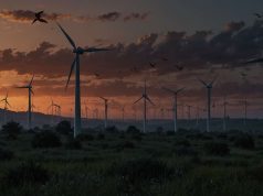 Pourquoi les éoliennes menacent-elles les chauves-souris ? Pourquoi les éoliennes menacent-elles les chauves-souris ?