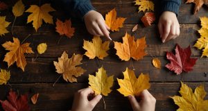 Activités créatives et amusantes à réaliser avec des feuilles d’automne Activités créatives et amusantes à réaliser avec des feuilles d'automne