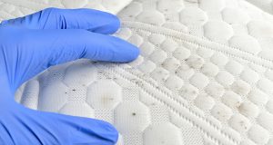 Retirer la moisissure sur un matelas : astuces simples et efficaces Retirer la moisissure sur un matelas : astuces simples et efficaces