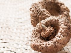 Le konjac : découvrez ce coupe-faim naturel et ses bienfaits Le konjac : découvrez ce coupe-faim naturel et ses bienfaits